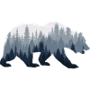 Forest Nature Bear