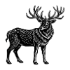 Elk