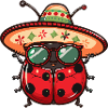 Ladybug Sombrero
