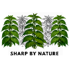 Stinging nettle is sharp by nature