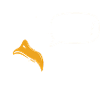 Sunglasses Seagull with Watt?!