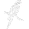 Parrot Silhouette on Branch