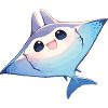 Rays Manta Rays