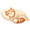 Cat sleeping