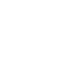 Housefly