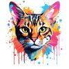 Bengalisches Katzengesicht Bunte Spritzkunst