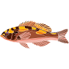 Tobacco perch
