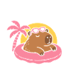 Chill Mode Floating Capybara