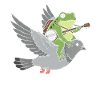 Frog guitarist on pigeon
