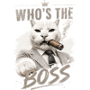 Katzenboss im Anzug