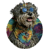 Hippie Dog