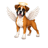 Boxer Dog Angel Wings Halo Keepsake