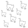 feline
