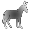 donkey