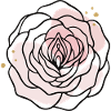 Pink Feminine Rose