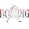 Logo boxe boxe
