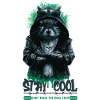 Stay Cool Squirrel Streetwear