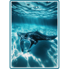 Rays Manta Rays