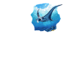 Rays Manta Rays