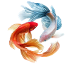 Koi-Farbkreis: Goldfisch-Paar