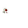Timmy Wal Shirt Geschenk