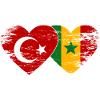 Türkei_Senegal_Flagge_Herz_used