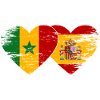 Senegal_Spanien_Flagge_Herz_used