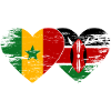 Senegal_Kenia_Flagge_Herz_used