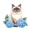 Cute Ragdoll Cat with Blue Hydrangeas