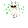 Alpaca Nother Bowl