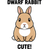 Dwarf Rabbit Dwarf Cute Rabbit Fetish