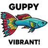 Fish Guppy Vibrant Swim Exotic Aquarium