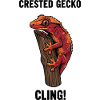 Gecko Crete Crested Cling Lizard Branch