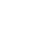 Bicycle Turtle