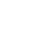 Funny Bicycle Cat