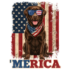 Merica Patriotic USA Freedom Humor