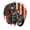 Skeleton Biker Patriotic Motorcycle USA