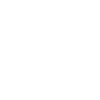 Spider Web Spider
