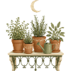 Herb Balcony Moonlight