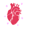 Cardiogram, cardiography, sonography, ultrasound