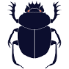 scarab