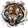 Tiger Roaring Attack