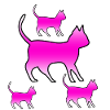 Katzen