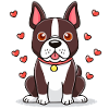 Boston-Terrier(Comic)