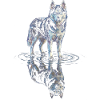 Siberian husky with water reflection