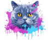 Bunte Splash-Kunst Britisches Kurzhaar-Katzengesicht