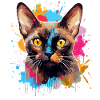 Burmesisches Katzengesicht – bunte Splash-Art