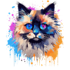 Bunte Birman-Katzengesicht-Splash-Kunst