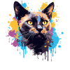 Splash Art Burmesisches Katzengesicht Farblos