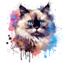 Splash Art Birman-Katzengesicht bunt